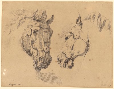 Duas cabeças de cavalo de Stefano della Bella