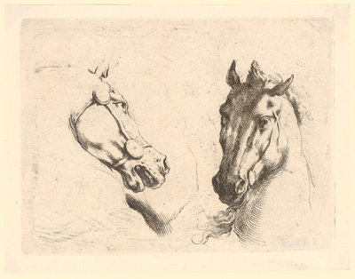 Duas cabeças de cavalo, prancha 1 da série «Diversas cabeças de animais» de Stefano della Bella