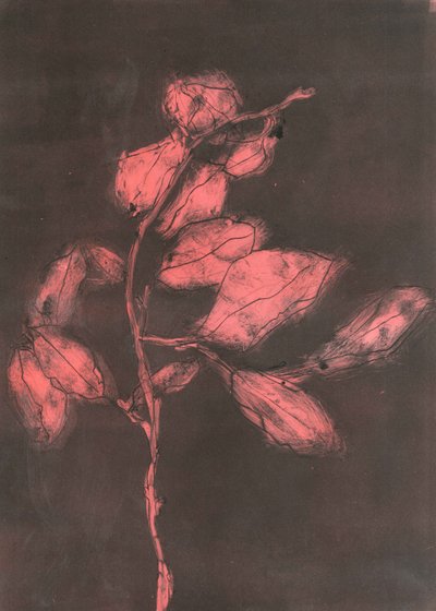 Folhagem I, 2015 (mono-impressão sobre papel) de Stephen Dow