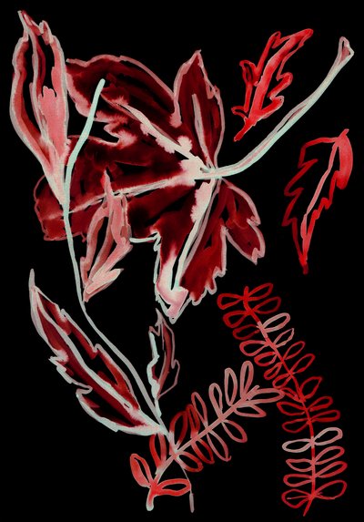 Flora Nocturna I, 2018 (digital) de Stephen Dow