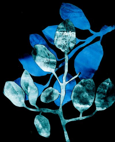 Jardim Noturno, 2017 (digital, a partir de uma collagraph) de Stephen Dow