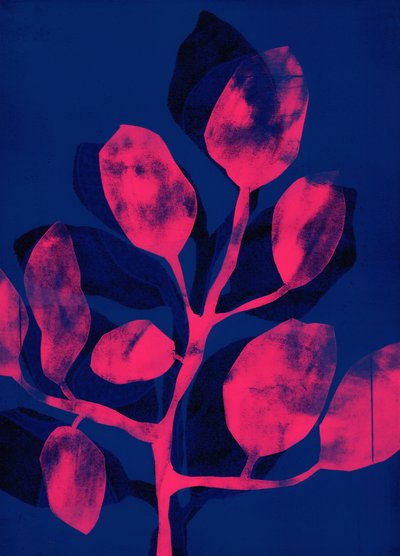 Jardim de verão III cor-de-rosa, 2018 (digital) de Stephen Dow