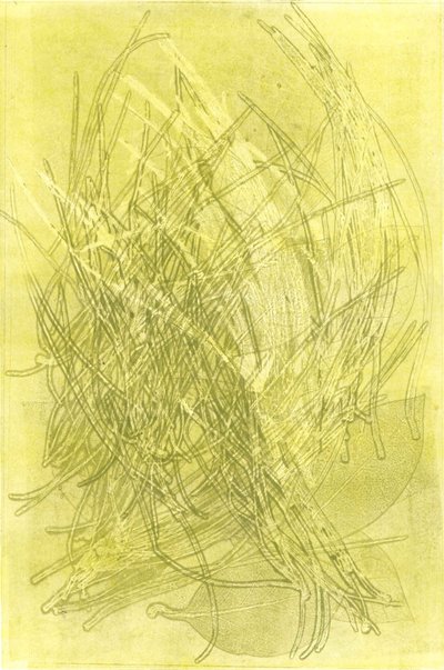 Jardim de verão V, 2015 (mono-impressão sobre papel) de Stephen Dow