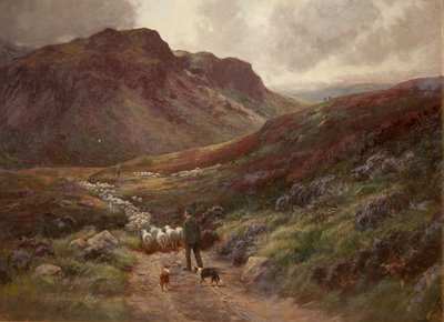 Panorama de Stephen Enoch Hogley