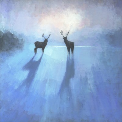 Veados majestosos no inverno de Steve Mitchell