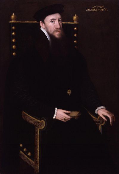 Henrique Fitzalan, 12º Conde de Arundel de Steven van der Meulen