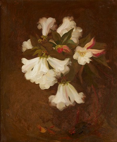 Uma Natureza Morta de Lírios Brancos (óleo sobre tela) de Stuart Park