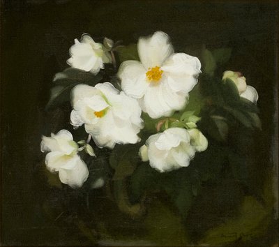 Rosas brancas (óleo sobre tela) de Stuart Park