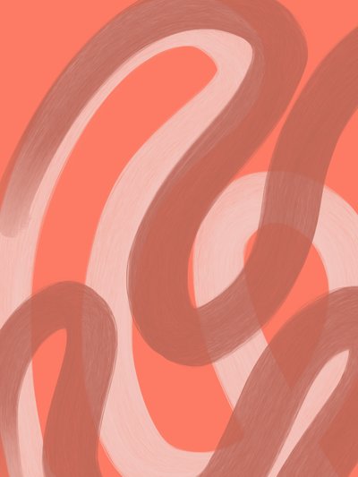 Resumo: Fluxo de Coral de Studio Palette