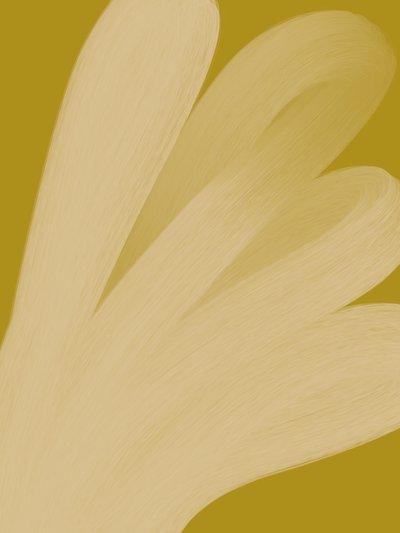 Resumo: Golden Flow de Studio Palette