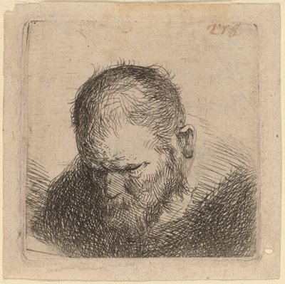 Homem barbudo olhando para baixo de Studio of Rembrandt van Rijn