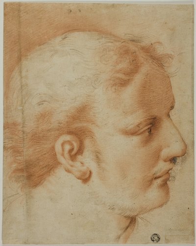 Cabeça de jovem, de perfil para a direita de Style of Benedetto Luti