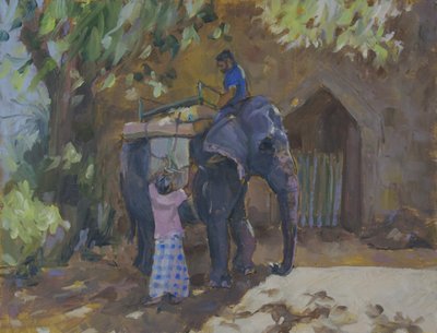 Elefante, Sri Lanka, 2015, de Sue Wales
