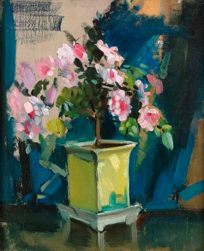 Camellia, c.1920 (óleo sobre painel) de Sunderland Rollison