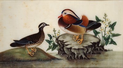 Pintura - Dois patos e plantas aquáticas floridas junto a um lago, final do século XIX de Sunqua