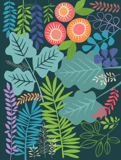  de Susan Black