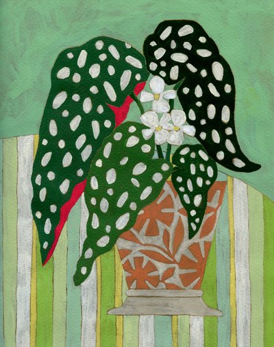  de Susan Black