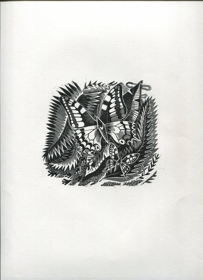 Borboletas Tropicais (gravura em madeira) de Suzanne Cooper