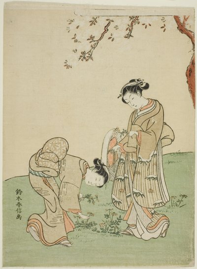 Colhendo flores da primavera de Suzuki Harunobu