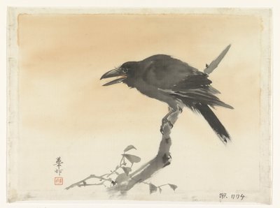 Corvo de Suzuki Kason