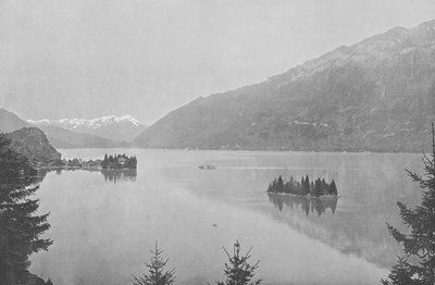 Iseltwald, Lac de Brienz (foto a p/b) de Swiss Photographer