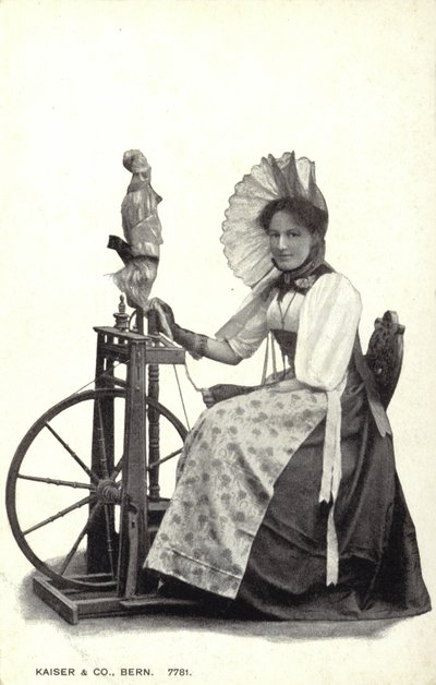 Mulher, sentada, em, um, roda girando de Swiss Photographer