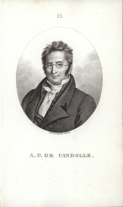 Agostinho Pyramus de Candolle de Swiss School