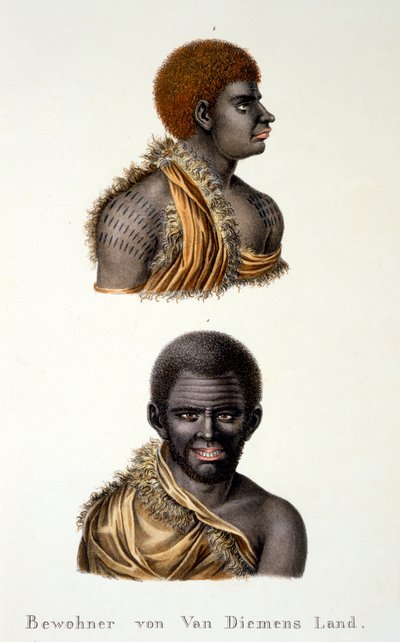 Nativos de Van Diemans Land, ie. Tasmânia, do estudo etnológico de vários tipos raciais de vários continentes, por CI Brodtmann, 1824 de Swiss School