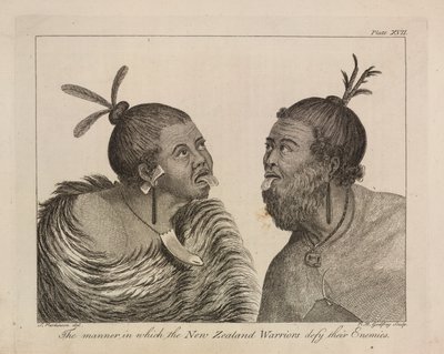 L.R.294.c.7,placa XVII guerreiros da Nova Zelândia de Sydney (after) Parkinson