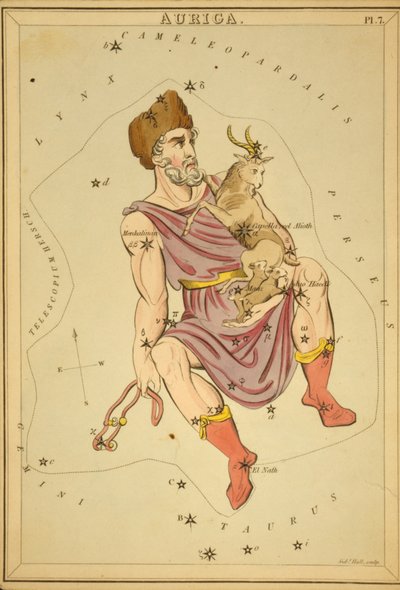 Auriga, ilustração de 
