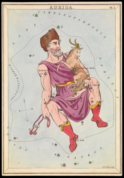 Auriga, c.1825 (cartão, papel, tecido) de Sydney Hall