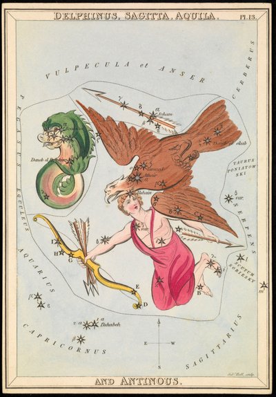 Delphinus, Sagitta, Aquila e Antinous, c.1825 (cartão, papel, tecido) de Sydney Hall
