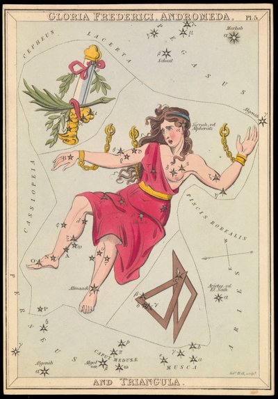 Gloria Frederich, Andrómeda e Triangula, c.1825 (cartão, papel, tecido) de Sydney Hall