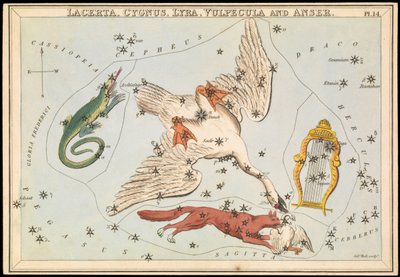 Lacerta, Cygnus, Lyra, Vulpecula e Anser, c.1825 (cartão, papel, tecido) de Sydney Hall
