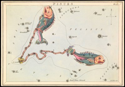 Peixes, c.1825 (cartão, papel, tecido) de Sydney Hall