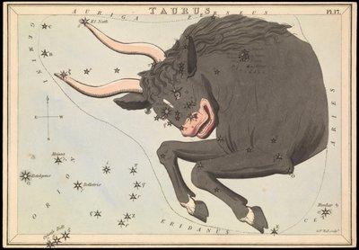Taurus, c.1825 (cartão, papel, tecido) de Sydney Hall