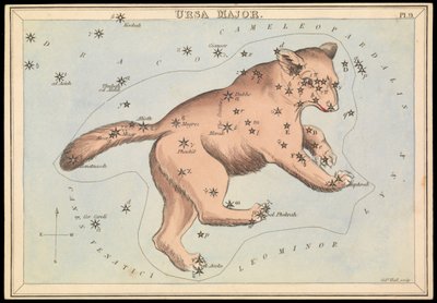 Ursa Maior, c.1825 (cartão, papel, tecido) de Sydney Hall