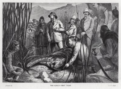 Rei Eduardo VII com o tigre que ele matou (litho) de Sydney Prior (after) Hall