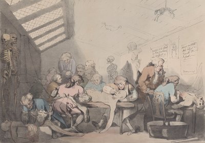 A Sala de Dissecação, ca. 1838. de T. C. Wilson