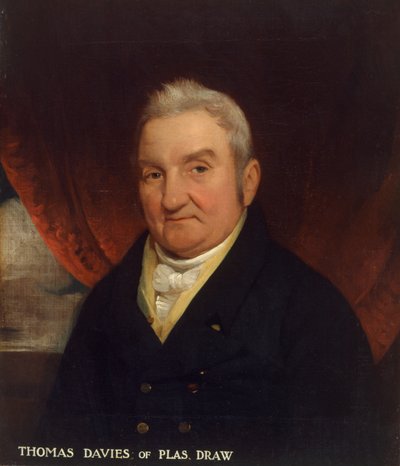 Thomas Davies de Plas Draw (óleo sobre tela) de T. Jones