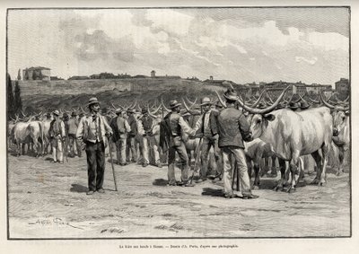 A feira da carne de bovino em Siena (Itália). Gravura de Taylor para ilustrar a história "A travers la Tuscane" de Eugene Muntz (1845-1902), em Le tour du Monde 1892, dirigida por Edouard Charton (1807-1891), Hachette, Paris. de T Taylor