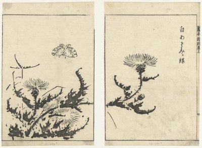 Cardos e borboleta
Gahon shinkoku makiage (título da série) de Tachibana Morikuni (attributed to)