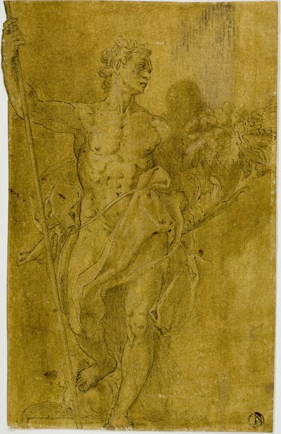 Estudo para figura alegórica masculina de Taddeo Zuccaro