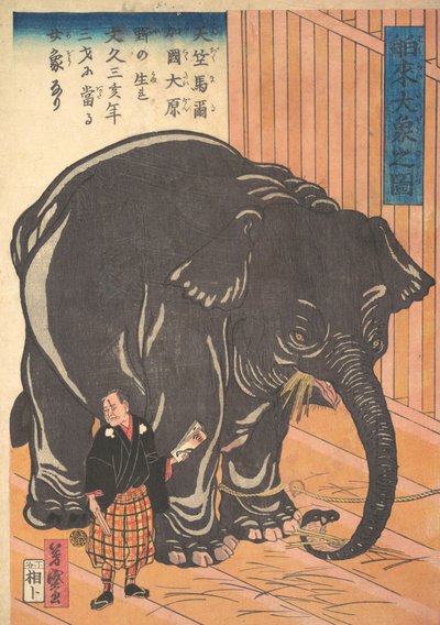 Vista do Grande Elefante Importado, 1863 Bunkyo 3, 4º mês. de Taguchi Yoshimori