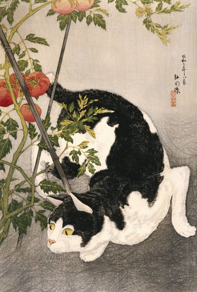 Gato rondando em torno de uma planta de tomate com estacas, 1931 (impressão em xilogravura) de Takahashi Hiroaki