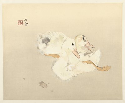 Patos jovens de Takeuchi Seiho