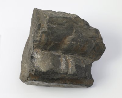 Fragmento de um pedestal de lótus de Tang Dynasty Chinese School