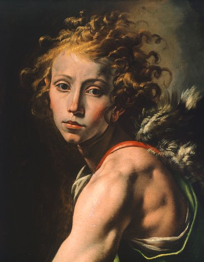 Figura de David, detalhe de David com cabeça de Golias, por Tanzio da Varallo (1575-1635) de Tanzio da Varallo