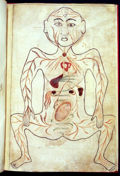Membros Orgânicos e o Embrião no Corpo Humano, meados do século XV de Tashri Al Badan