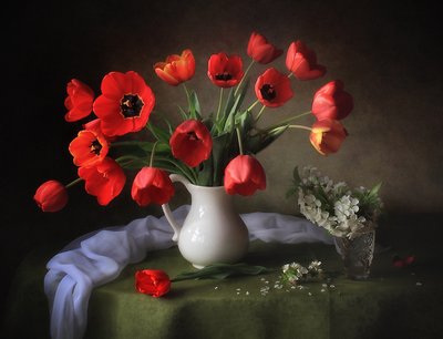 Tulipas vermelhas vibrantes de Tatyana Skorokhod